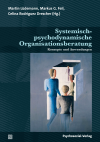 Martin Lüdemann, Markus G. Feil, Celina Rodriguez Drescher - Systemisch-psychodynamische Organisationsberatung