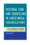 Jean Beedoe - Pastoral Care and Counseling in Large/Mega Congregations