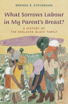Brenda E. Stevenson - What Sorrows Labour in My Parent's Breast?