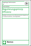 Simon Fechner - Regulierungsprinzip Effizienz
