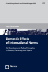 Laura-Theresa Krüger - Domestic Effects of International Norms