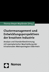 Thomas Breyer-Mayländer - Clustermanagement und Entwicklungsperspektiven der kreativen Industrie