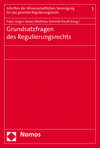 Franz Jürgen Säcker, Matthias Schmidt-Preuß - Grundsatzfragen des Regulierungsrechts