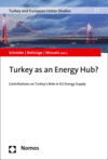 Mirja Schröder, Marc Oliver Bettzüge, Wolfgang Wessels - Turkey as an Energy Hub?